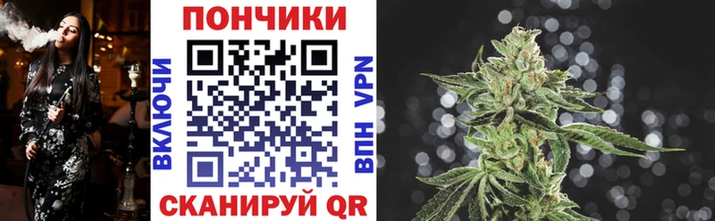 Купить закладки  Бирюсинск  Каннабис тримм 
